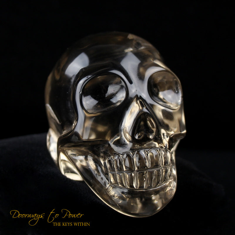 Citrine Twin Quartz Crystal Skull 'Duality' by Leandro