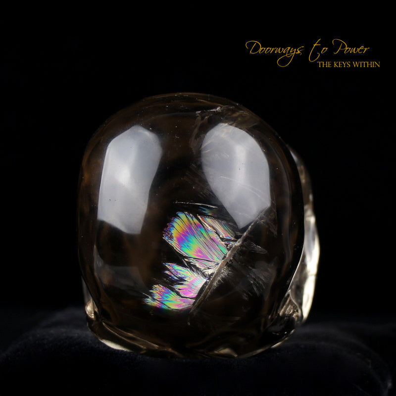 Citrine Twin Quartz Crystal Skull 'Duality' by Leandro