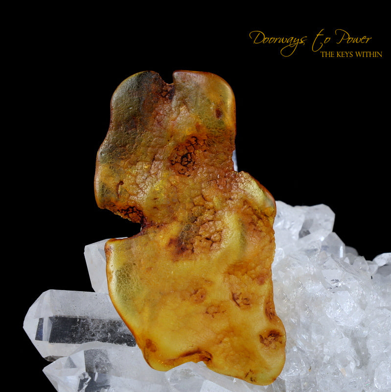 Colombian Amber Dragon Crystal Carving