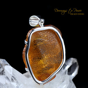 Colombian Amber Dragon Pendant  'Universal Manifestation' 