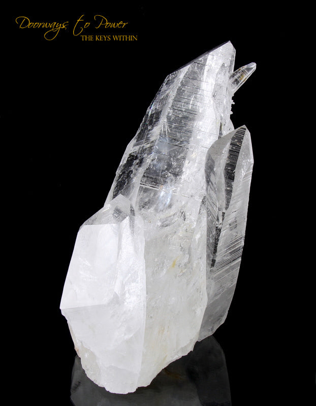 Colombian Lemurian Light Quartz Crystal Cluster XL 'Illuminate' 