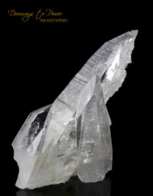 Colombian Lemurian Light Quartz Crystal Cluster XL 'Illuminate' 
