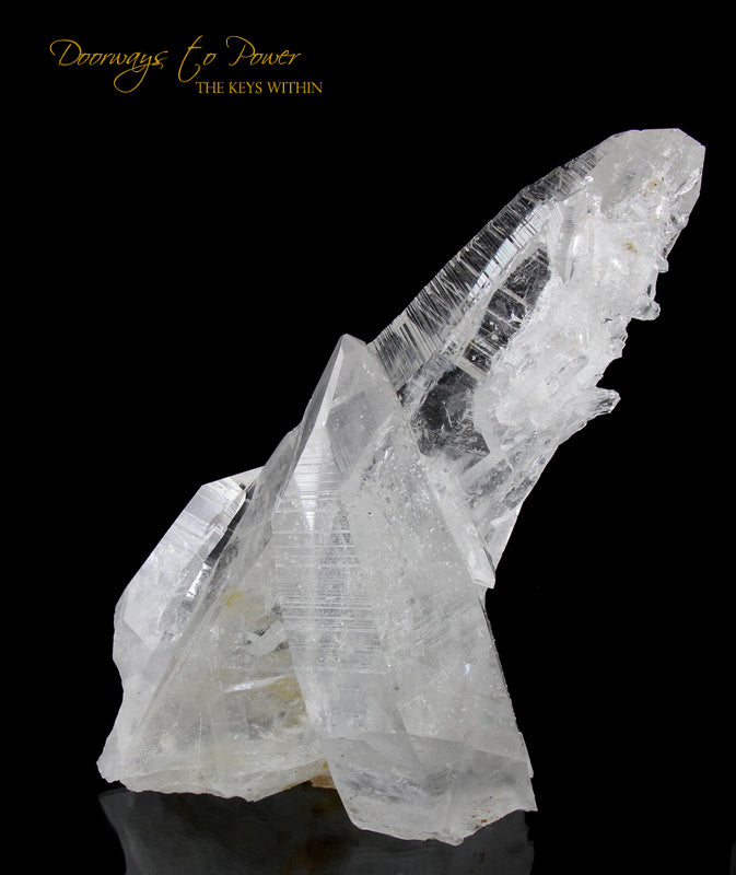 Colombian Lemurian Light Quartz Crystal Cluster XL 'Illuminate' 