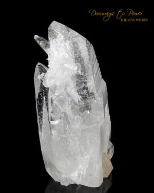 Colombian Lemurian Light Quartz Crystal Cluster XL 'Illuminate' 