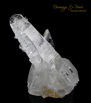 Colombian Lemurian Light Quartz Crystal Cluster XL 'Illuminate' 