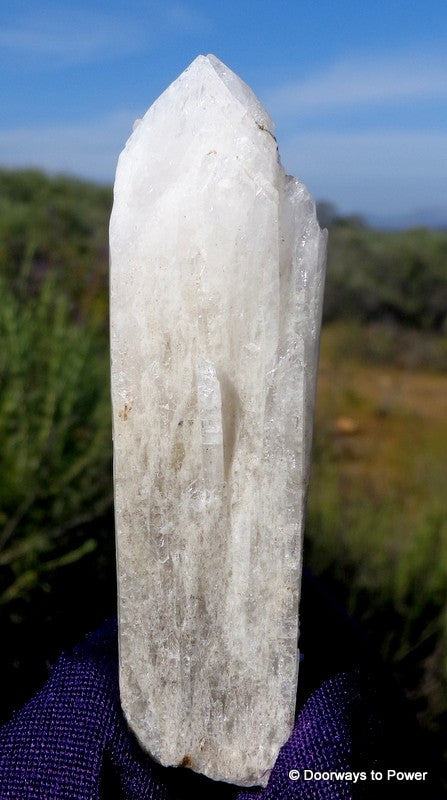 Danburite Crystal Synergy 12 Stone