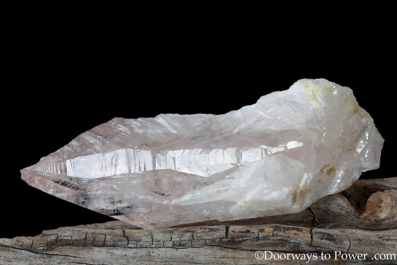 Danburite Synergy 12 stone