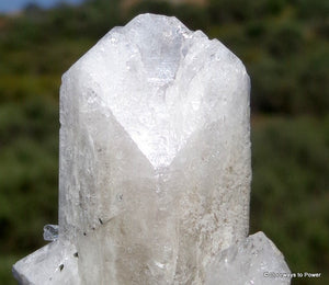 Danburite Crystal Synergy 12 Stone