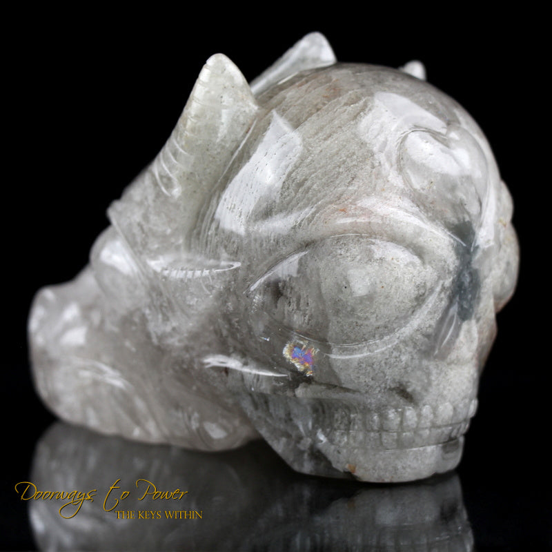 Leandro De Souza Crystal Skulls
