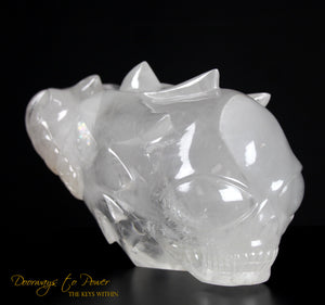 Leandro De Souza Crystal Skull And Dragon Sculpture