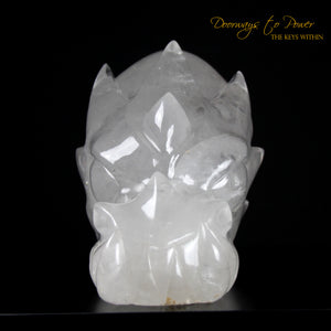 Dragon + Alien + Heart Alchemical Crystal Skull Sculpture