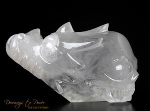 Dragon + Alien + Heart Alchemical Crystal Skull Sculpture