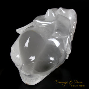 Dragon + Alien + Heart Alchemical Crystal Skull by Leandro De Souza
