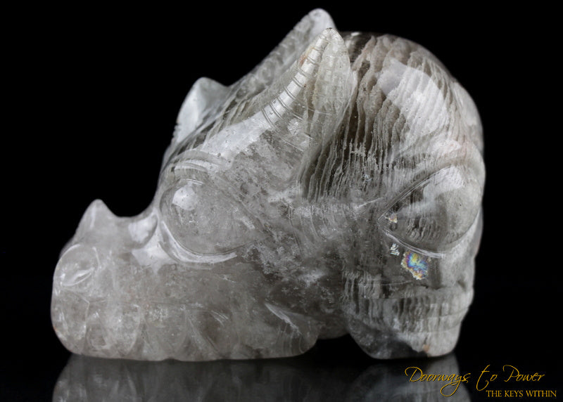 Dragon + Alien + Heart Alchemical Crystal Skull Sculpture by Leandro De Souza