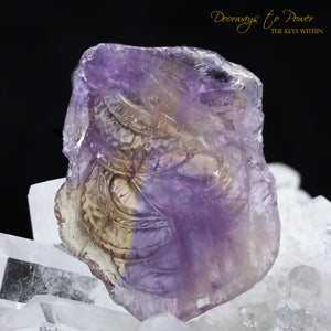Exquisite Hand Carved Ametrine Dragon Crystal 