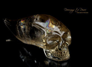 Golden Citrine Elestial Quartz Crystal Traveler Skull 