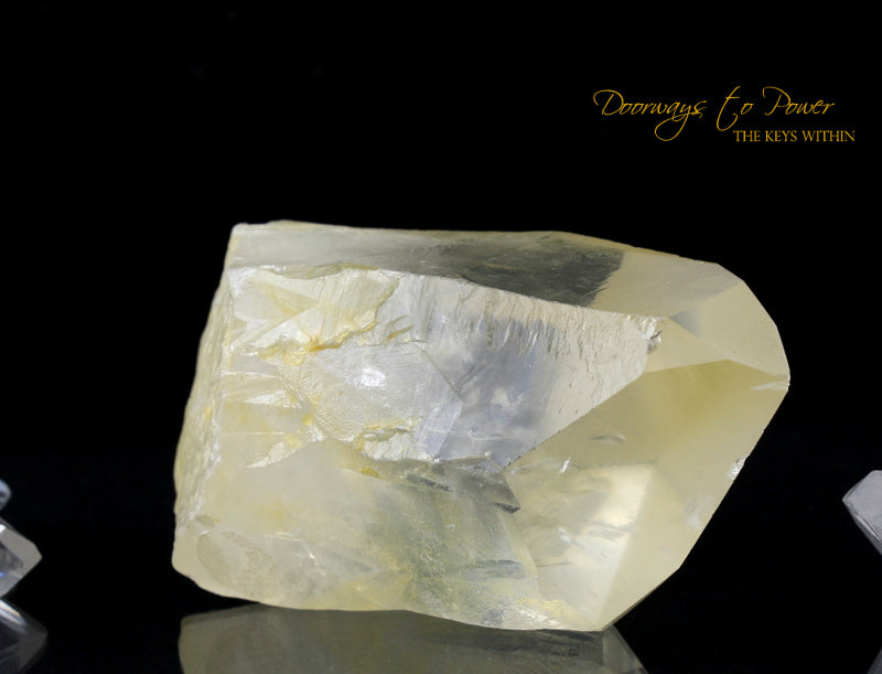 Golden Healer Lemurian Seed Quartz Record Keeper Crystal 