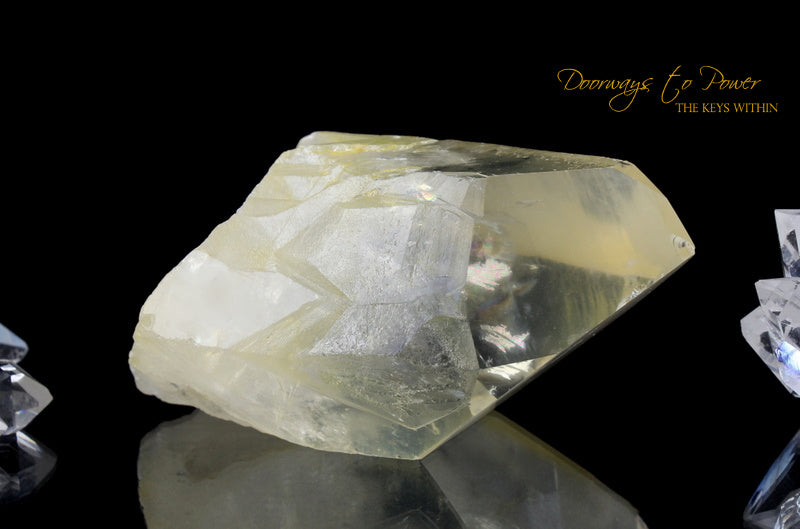 Golden Healer Lemurian Seed Quartz Record Keeper Crystal 