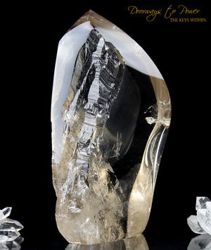 Golden Lemurian 