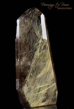 Golden Rutilated Quartz Crystal 'Illuminator' 