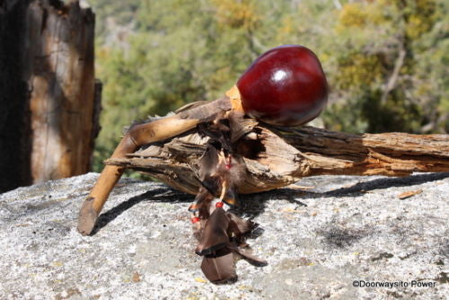 Shamanic Gourd Rattle 15"