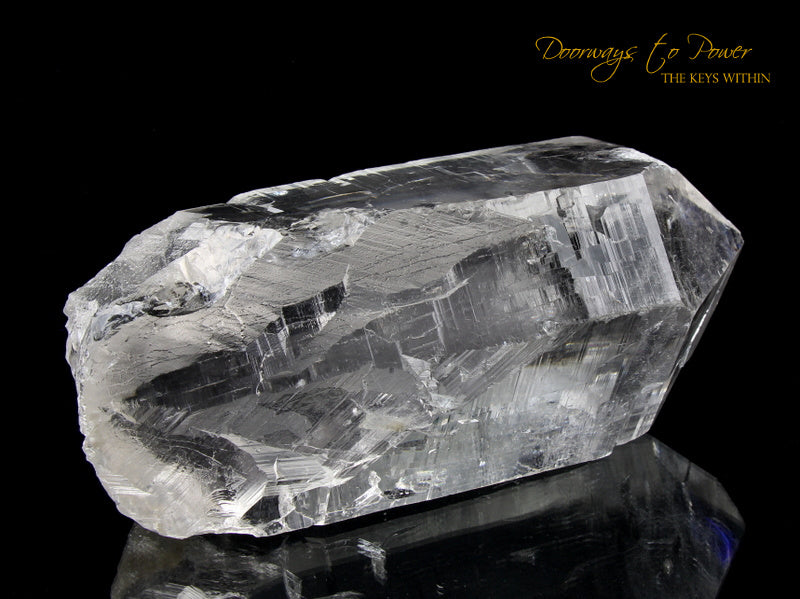 Himalayan Nirvana Cathedral Quartz Crystal Record Keeper 'Non Ordinary Reality' Rare