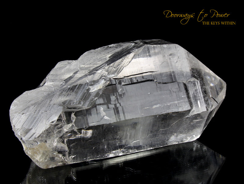 Himalayan Nirvana Cathedral Quartz Crystal Record Keeper 'Non Ordinary Reality' Rare