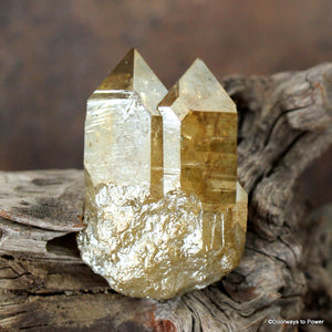 Golden Aura Lemurian Seed Quartz Pleiadian Starbrary Twin Crystal