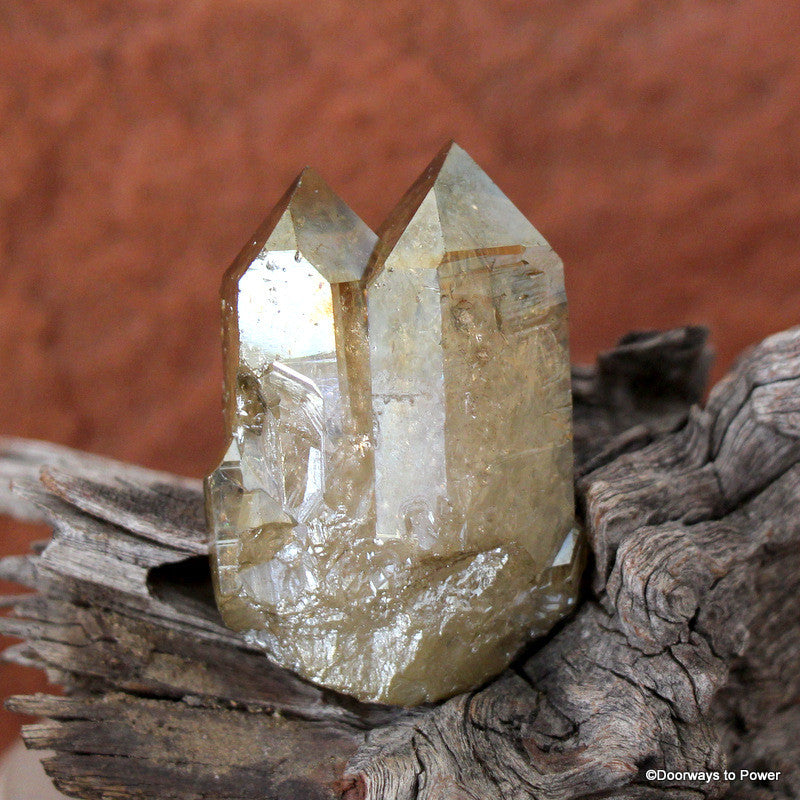 Golden Aura Lemurian Seed Quartz Pleiadian Starbrary Twin Crystal