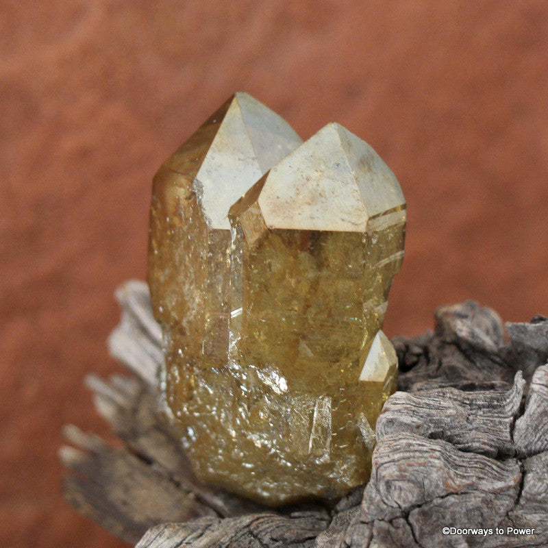 Golden Aura Lemurian Seed Quartz Pleiadian Starbrary Twin Crystal