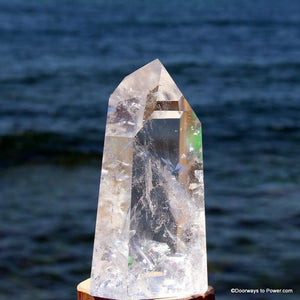 5" John of God Casa Quartz Master Dow Altar Stone Crystal Point CAQ-57