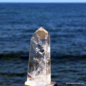 5" John of God Casa Quartz Master Dow Crystal Point CAQ-59