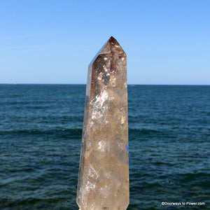 Large 11.75" John of God Quartz Smokey Channeling Devic Temple Crystal Point 6 lbs CAS-7