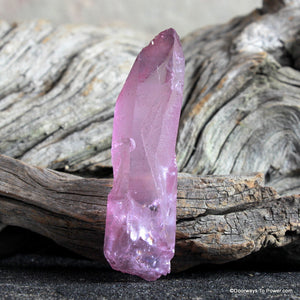 Lavender Rose Aura Lemurian Seed Pleiadian Starbrary Crystal ROSA-2