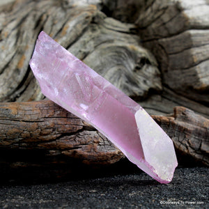 Lavender Rose Aura Lemurian Seed Pleiadian Starbrary Crystal ROSA-2