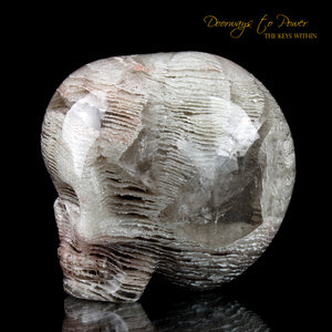Chlorite in Quartz Magical Child Crystal Skull