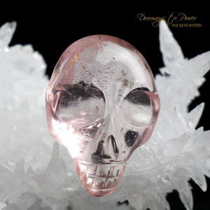 Leandro De Souza Morganite Hand Carved ET Crystal Skull Meditation Crystal