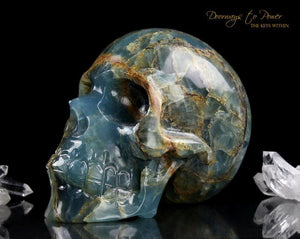Lemurian Crystal Skull Leandro De Souza