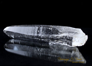 Lemurian Light Ray Twin Quartz Crystal Wand 'ERA of LIGHT' 