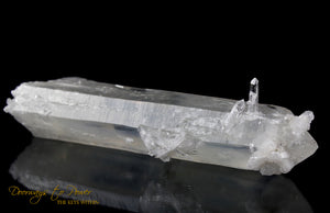 Lemurian Mist Self Healing ET Penetrator Quartz Crystal XL 8.5" 1