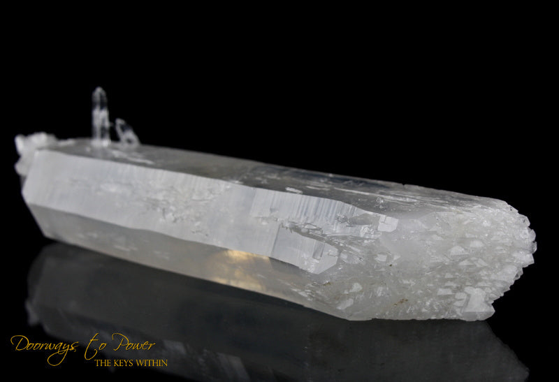 Lemurian Mist Self Healing ET Penetrator Quartz Crystal XL 8.5"