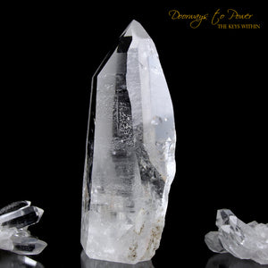 Lemurian Light Seed Quartz Isis Crystal Record Keeper Point