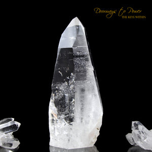 Lemurian Light Seed Quartz Isis Crystal Record Keeper Point