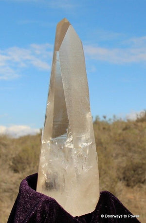 Lemurian Golden Healer Channeling Quartz Crystal