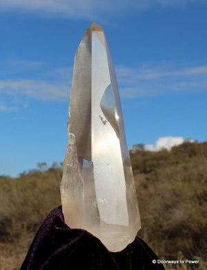 Lemurian Golden Healer Channeling Quartz Crystal