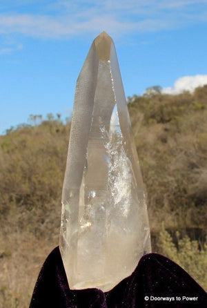 Lemurian Golden Healer Channeling Quartz Crystal