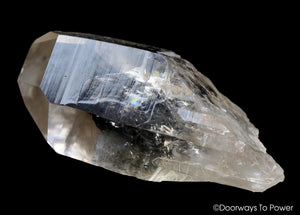 Golden Lemurian Crystal 'Light Language Royalty' 9D Energy Gateway'