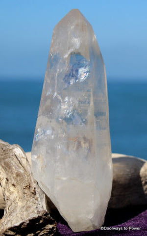 Lemurian Starseed Quartz Master Record Keeper Channeling Crystal