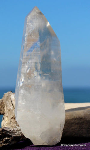 Lemurian Starseed Quartz Master Record Keeper Channeling Crystal