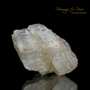 Light Beam Petalite Crystal & Synergy 12 Stone 